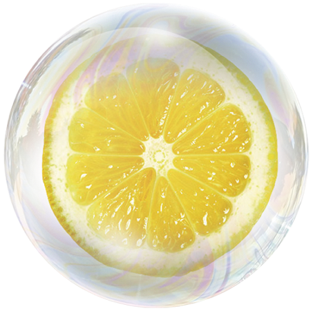 Zitrone (Citrus limon)