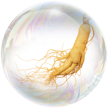 Ginseng (Panax ginseng)