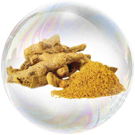 Kurkuma (Curcuma longa)**